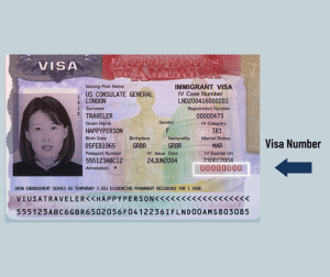 Locate visa number